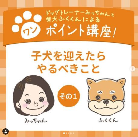 子犬を迎えたらやるべきこと その1