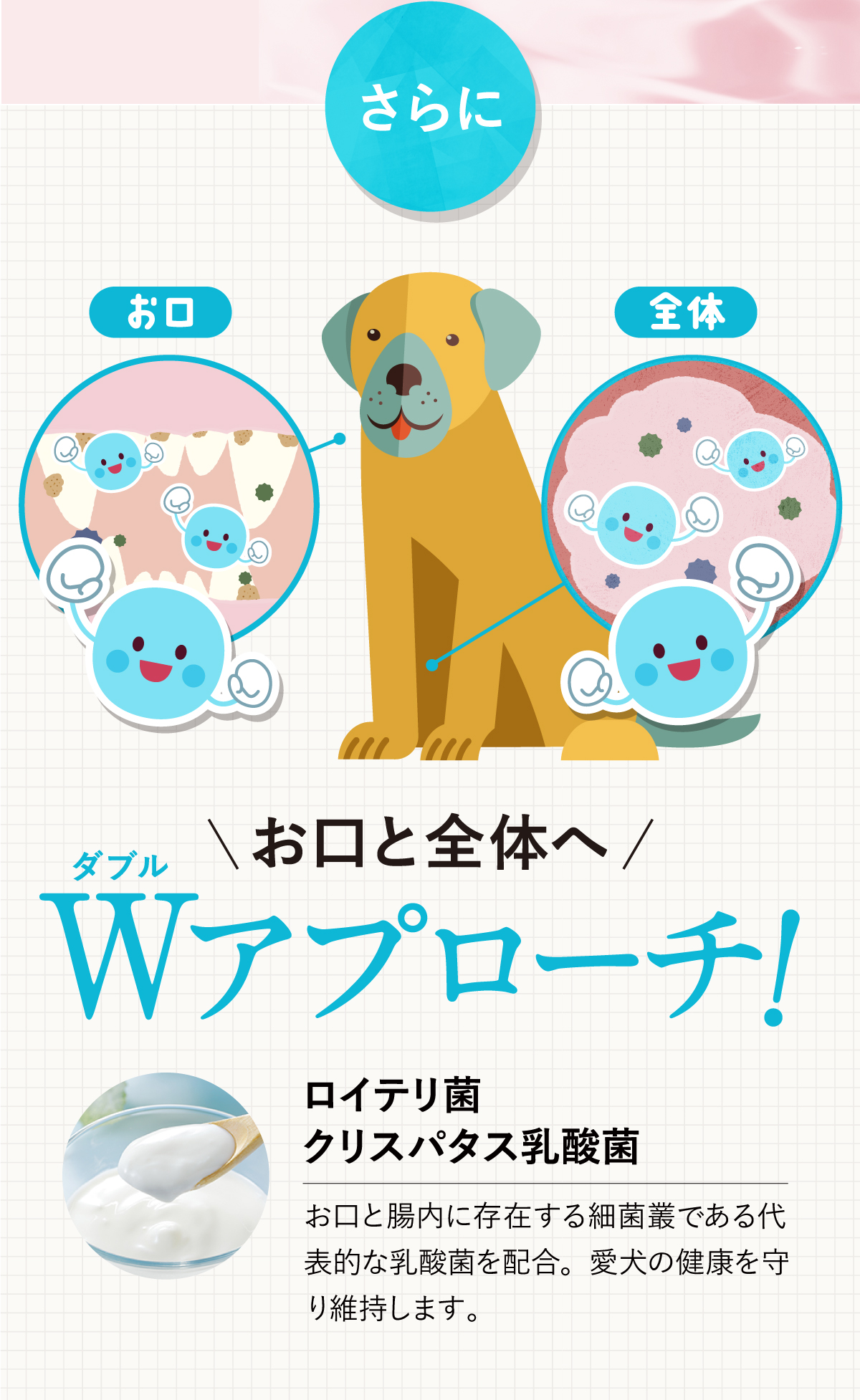 さらにお口と全体へWアプローチ