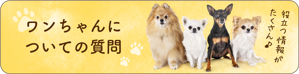 ワンちゃんについての質問